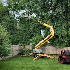 Lawn Edging in Eastland, TX