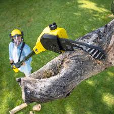 Mulching Services in Eastland, TX